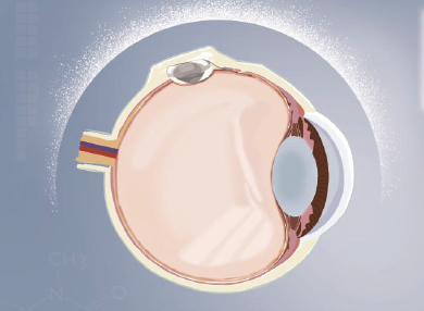 emc易倍·(中国)体育官方网站-EMC SPORTS