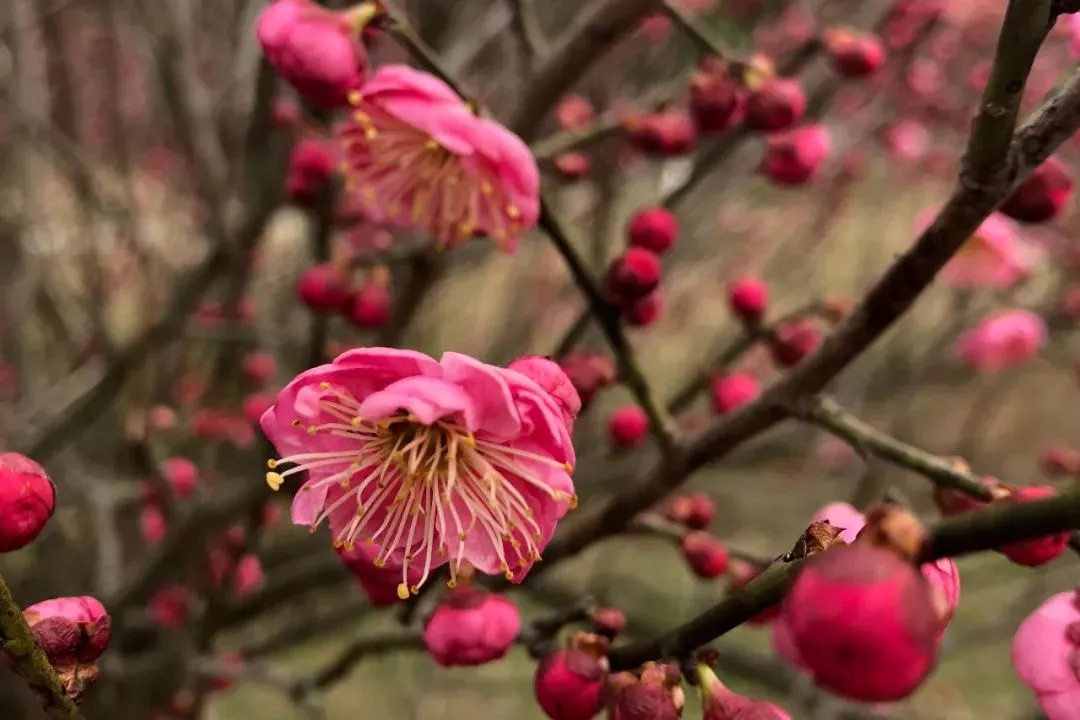 emc易倍·(中国)体育官方网站-EMC SPORTS