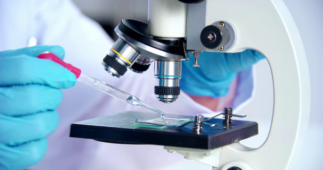 emc易倍·(中国)体育官方网站-EMC SPORTS